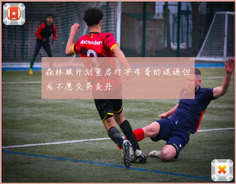森林狼计划重启对字母哥的追逐但或不愿交易麦丹