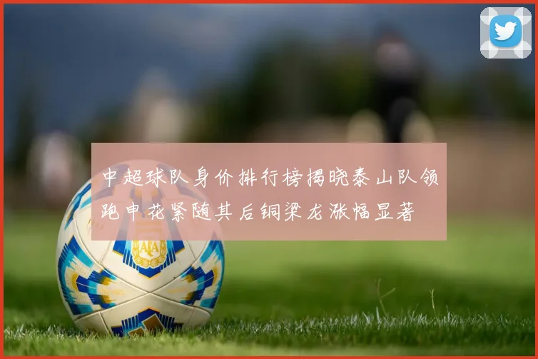中超球队身价排行榜揭晓泰山队领跑申花紧随其后铜梁龙涨幅显著