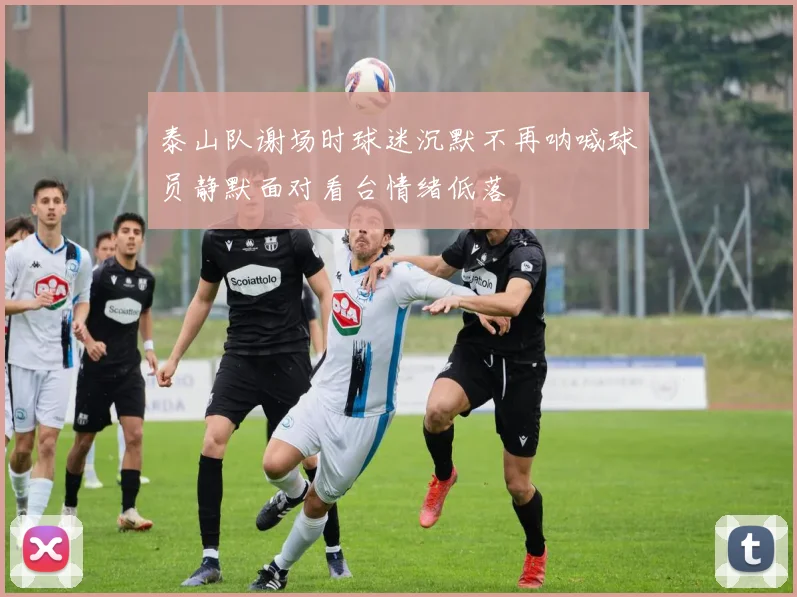 泰山队谢场时球迷沉默不再呐喊球员静默面对看台情绪低落